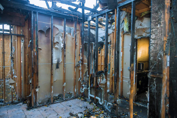 Professional Fire Damage Removal technician working in Deer Park, WA